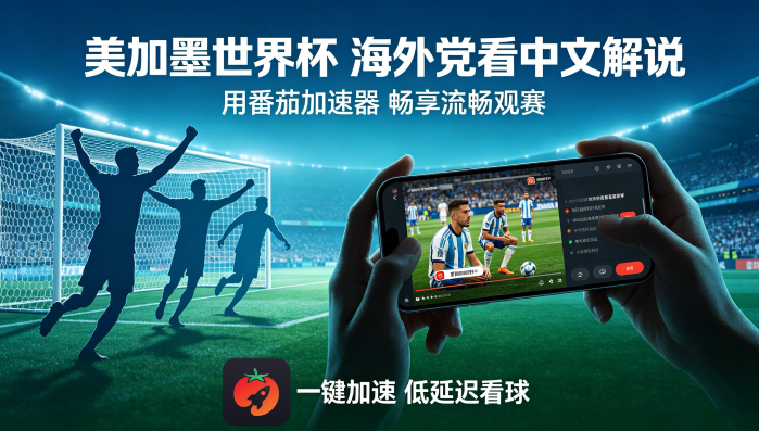 在海外看世界杯法国 VS 摩洛哥当前IP受限制?这份终极指南让你不错过任何精彩