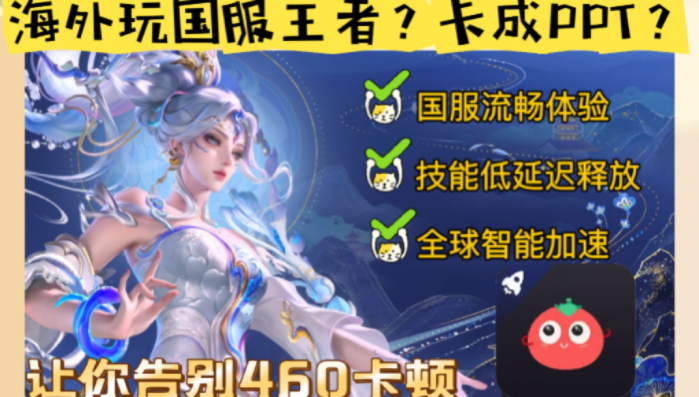 ChickCN和天速回国好用吗？教程