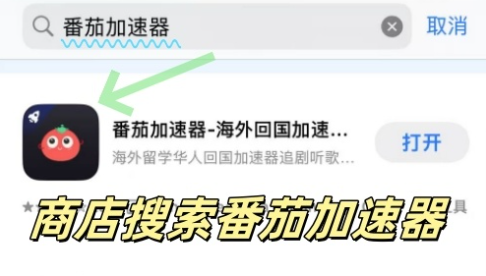 海外国内vpn教程